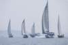 cervar0034_small.jpg