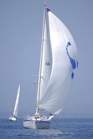 cervar007.jpg