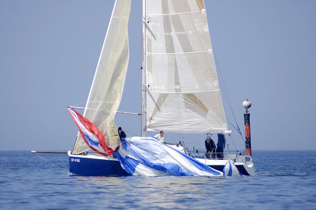 cervar008.jpg