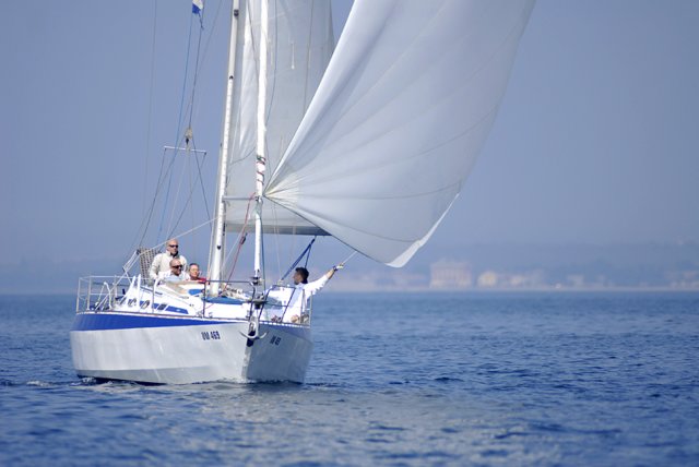 cervar009.jpg