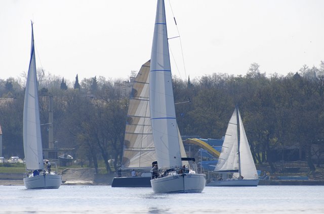 cervar0153.jpg