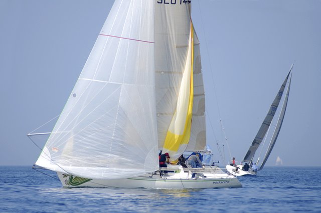 cervar0162.jpg