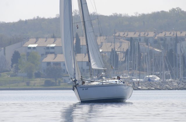 cervar0163.jpg