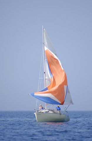 cervar017.jpg