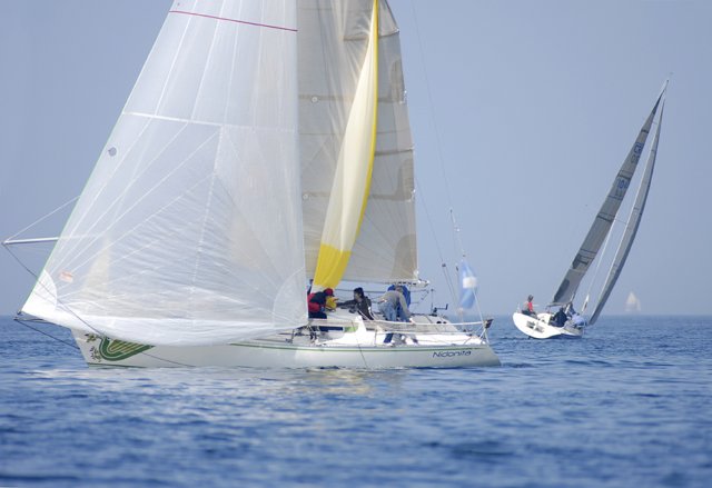 cervar0182.jpg