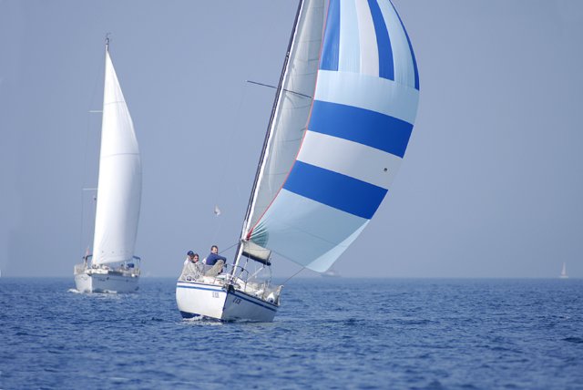 cervar0213.jpg