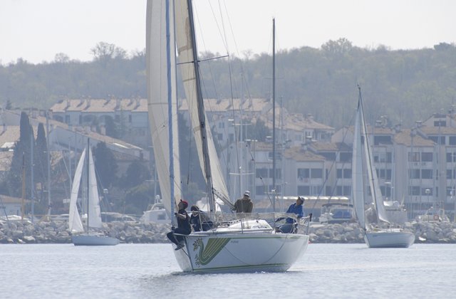cervar0222.jpg