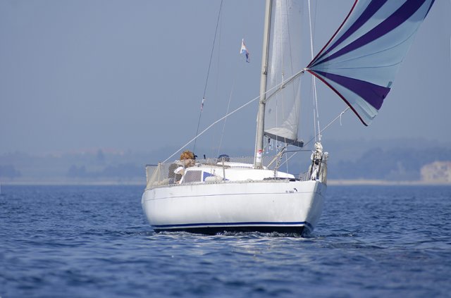 cervar0223.jpg