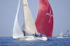 cervar0232_small.jpg