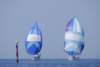 cervar0272_small.jpg