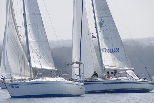 cervar0273.jpg