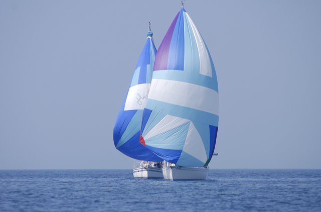 cervar029.jpg