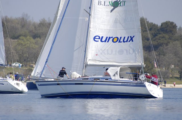 cervar0302.jpg