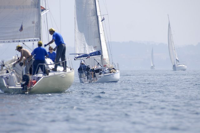 cervar033.jpg