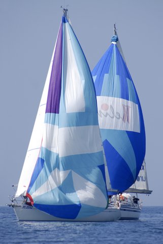 cervar036.jpg