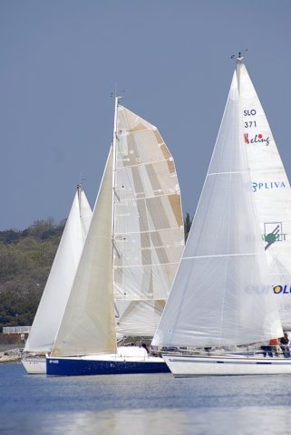 cervar0382.jpg