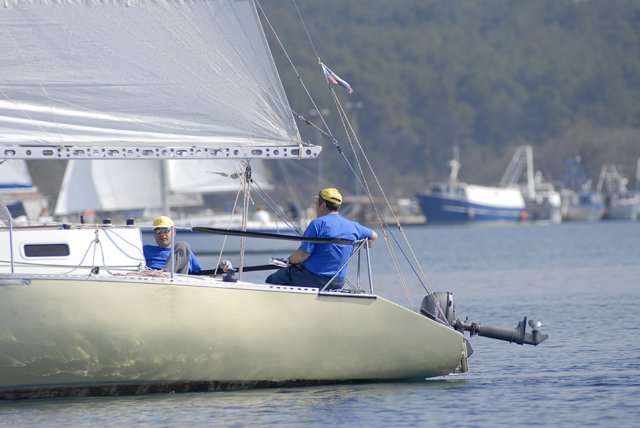 cervar0413.jpg