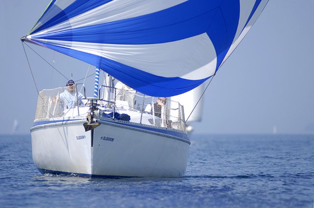cervar042.jpg