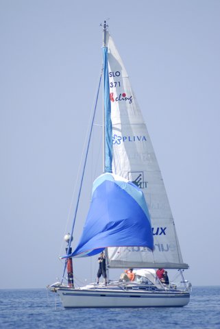 cervar0432.jpg