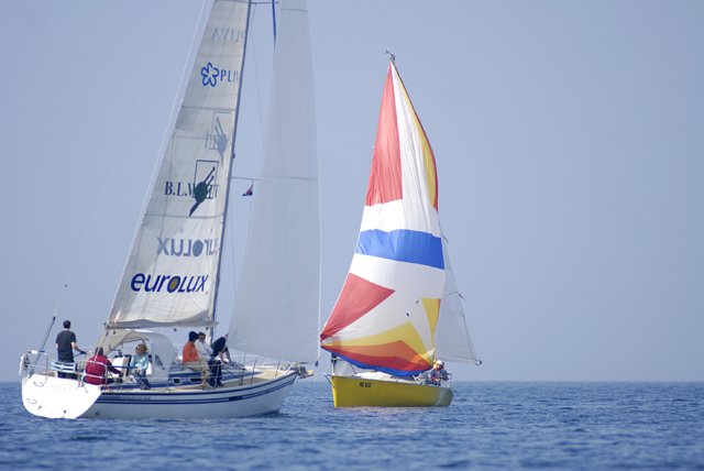 cervar0502.jpg