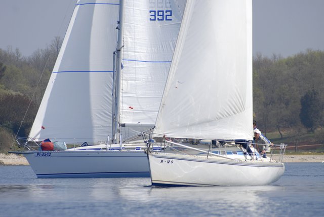 cervar0503.jpg