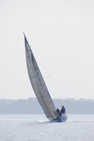 cervar060.jpg
