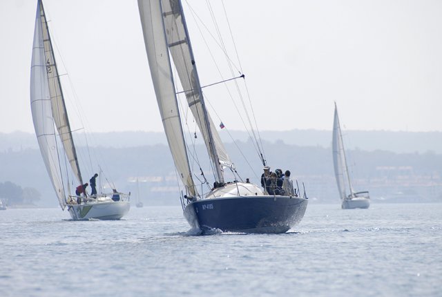 cervar082.jpg