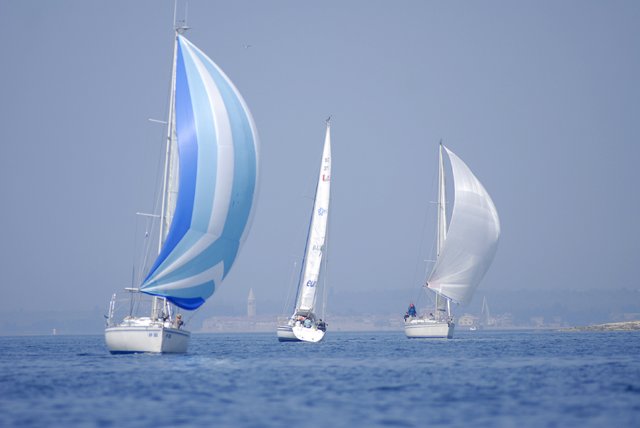 cervar093.jpg