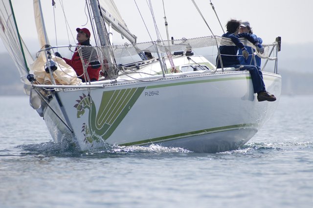 cervar099.jpg