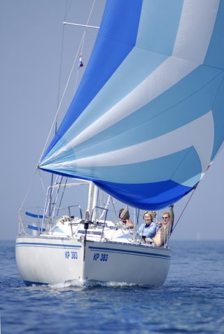 cervar102.jpg