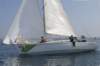 cervar1062_small.jpg