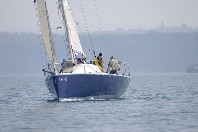 cervar127.jpg
