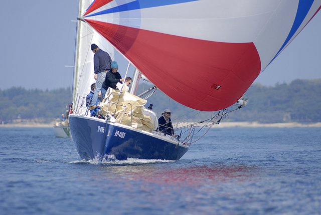 cervar166.jpg