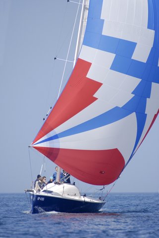 cervar175.jpg