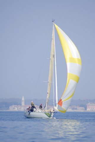 cervar198.jpg