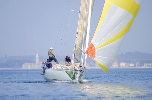 cervar209.jpg