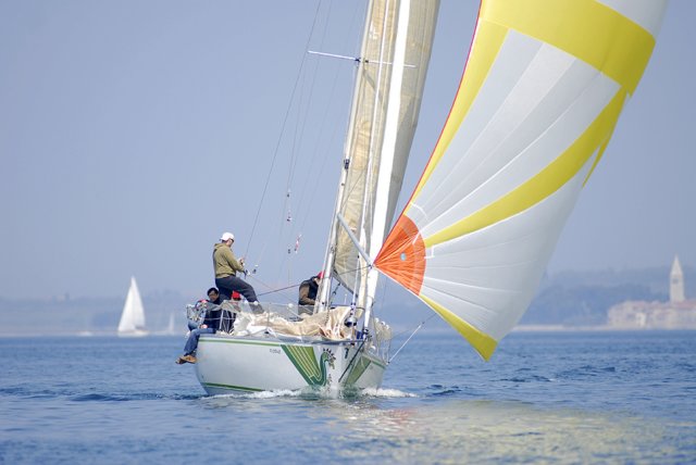 cervar212.jpg