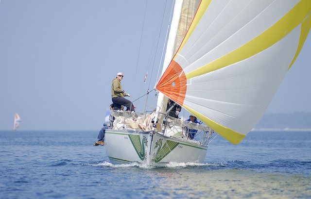 cervar216.jpg