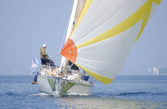 cervar221.jpg
